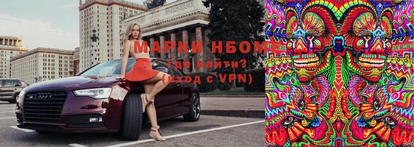 молекула духа Арсеньев