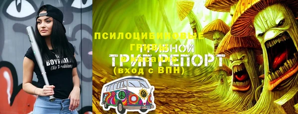 каннабис Аркадак