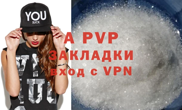 молекула духа Арсеньев