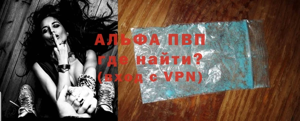 молекула духа Арсеньев