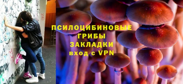 apvp Армянск