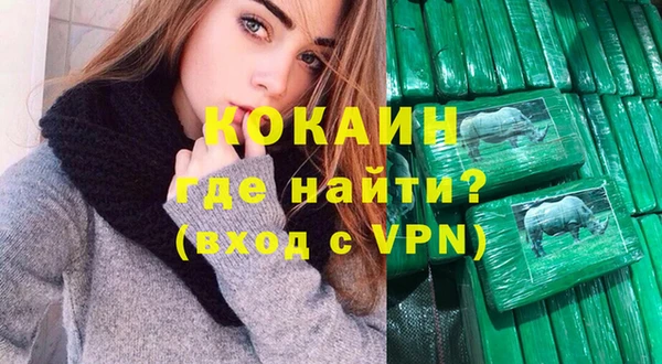 молекула духа Арсеньев