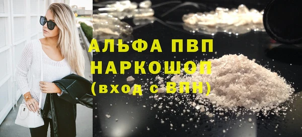 молекула духа Арсеньев