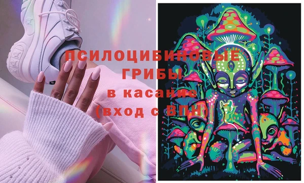 молекула духа Арсеньев
